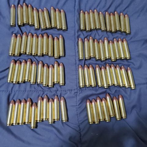 .450 Bushmaster ammo Subsonic