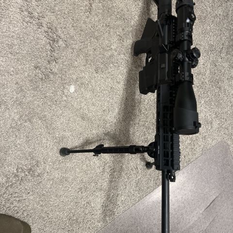 Sig 716 g2 308 