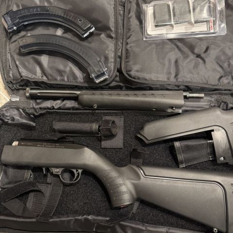 Ruger 10/22 takedown 