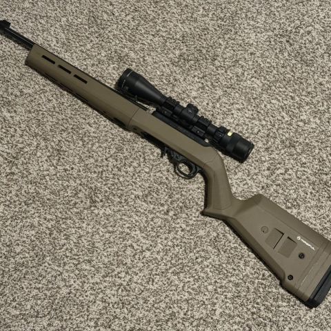 Ruger 10-22