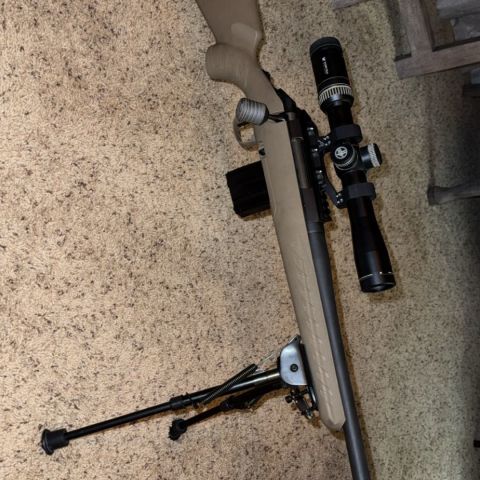 6.5 Grendel; Ruger Ranch 16”