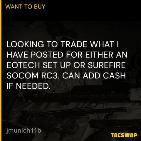 Eotech setup or  Socom RC3
