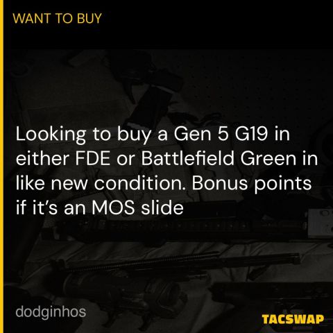 WTB G19 Gen 5 (FDE,BFG) 