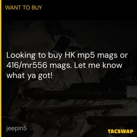 WTB HK MP5 or 416 MAGS + BETA C