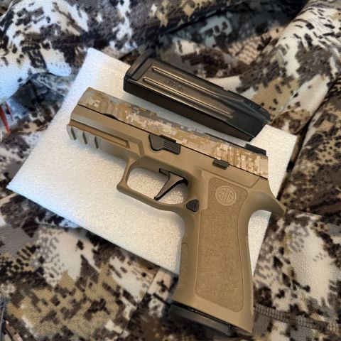 SIG P320 DIGICAM Carry