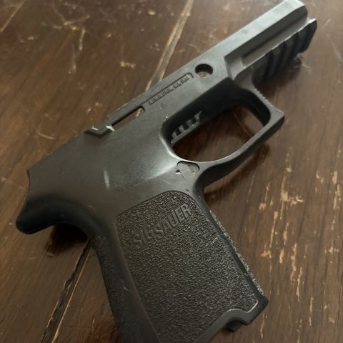 (2) P320 grip modules