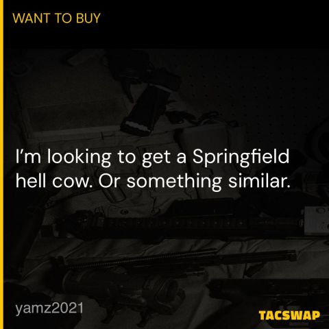 ISO Springfield hellcow