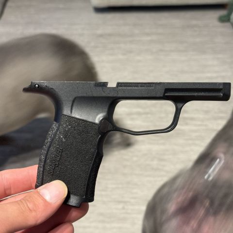 P365 X/XL FRAME/MODULE