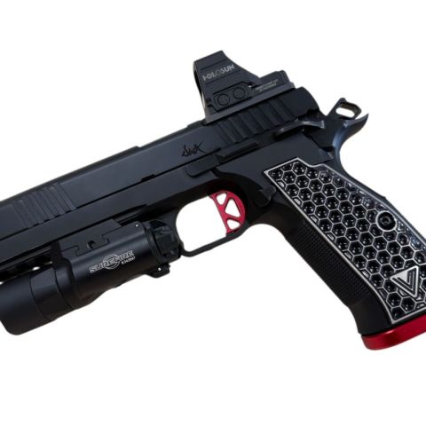 Custom Dan Wesson DWX