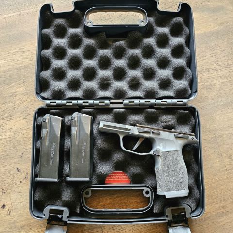 Sig P365 Frame & FCU 