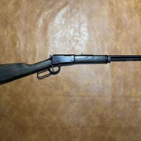 Henry Garden Gun 22 WMR 