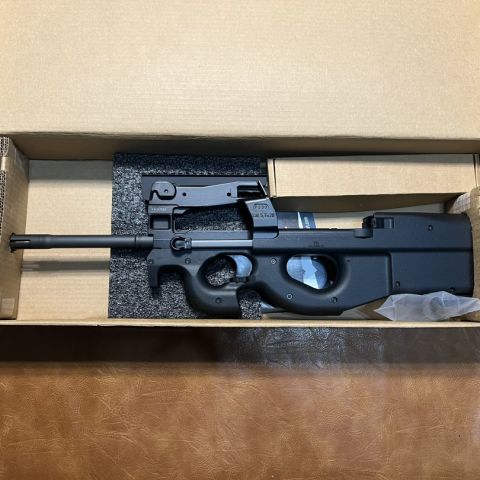 Factory New PS90 50rd Mag