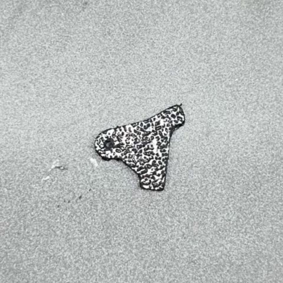 Image 2 - Taurus TX 22 FRT