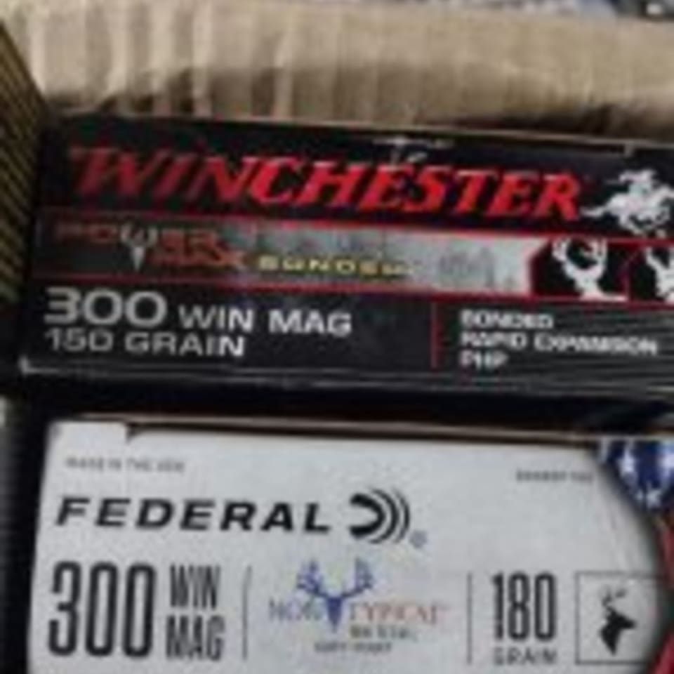 Image 3 - Lot-Premium 300 Win Mag ammo