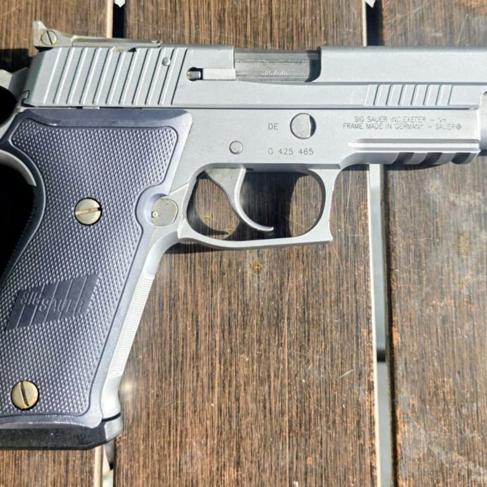 Image 2 - P220 Target Stainless