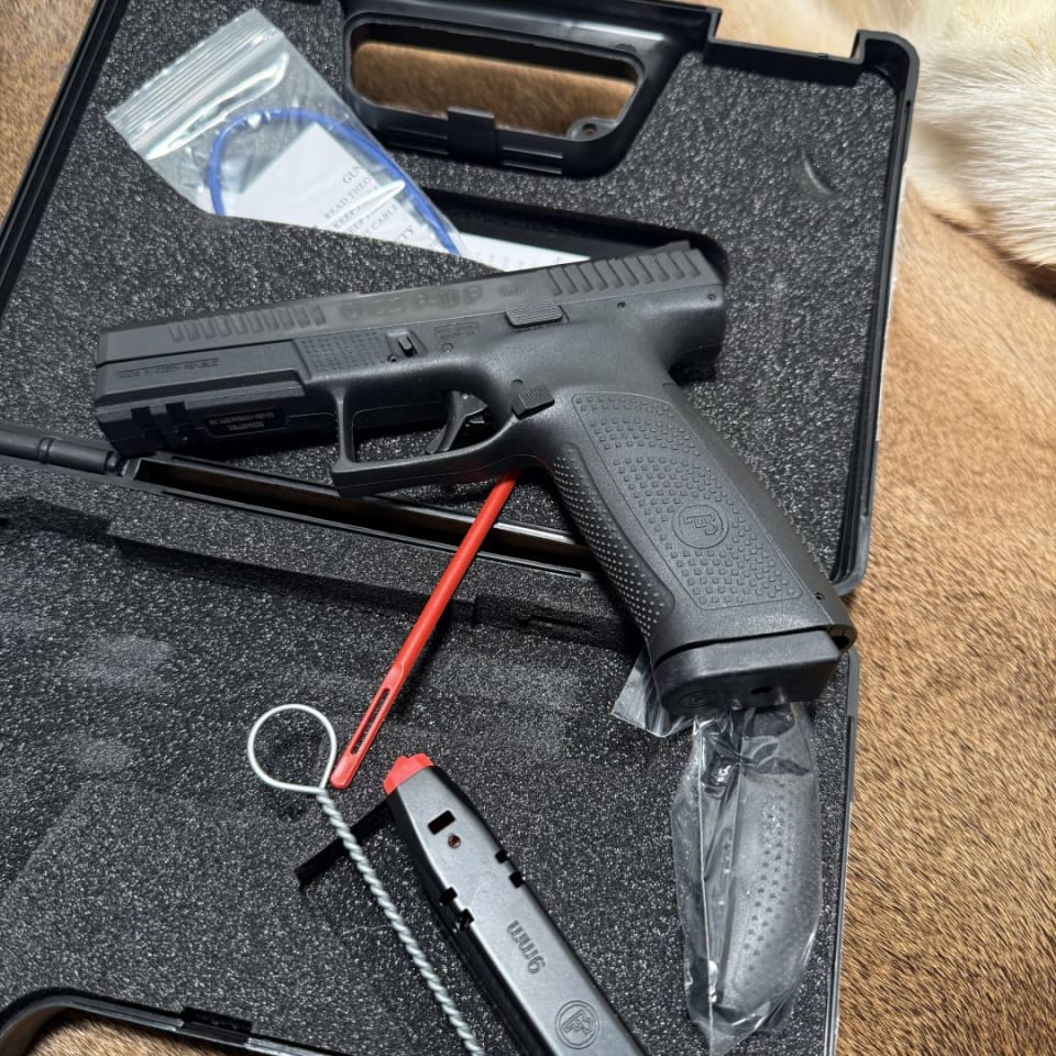 Image 1 - NEW CZ P-10F