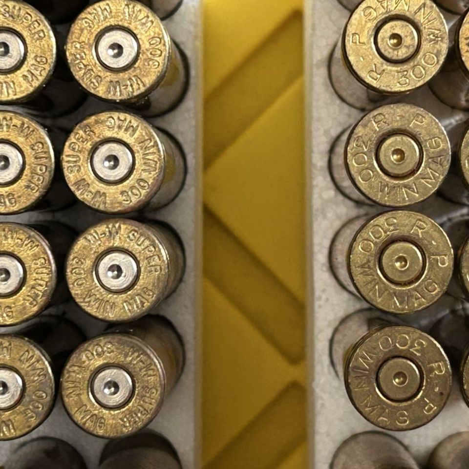 Image 2 - 300 Win Mag Brass