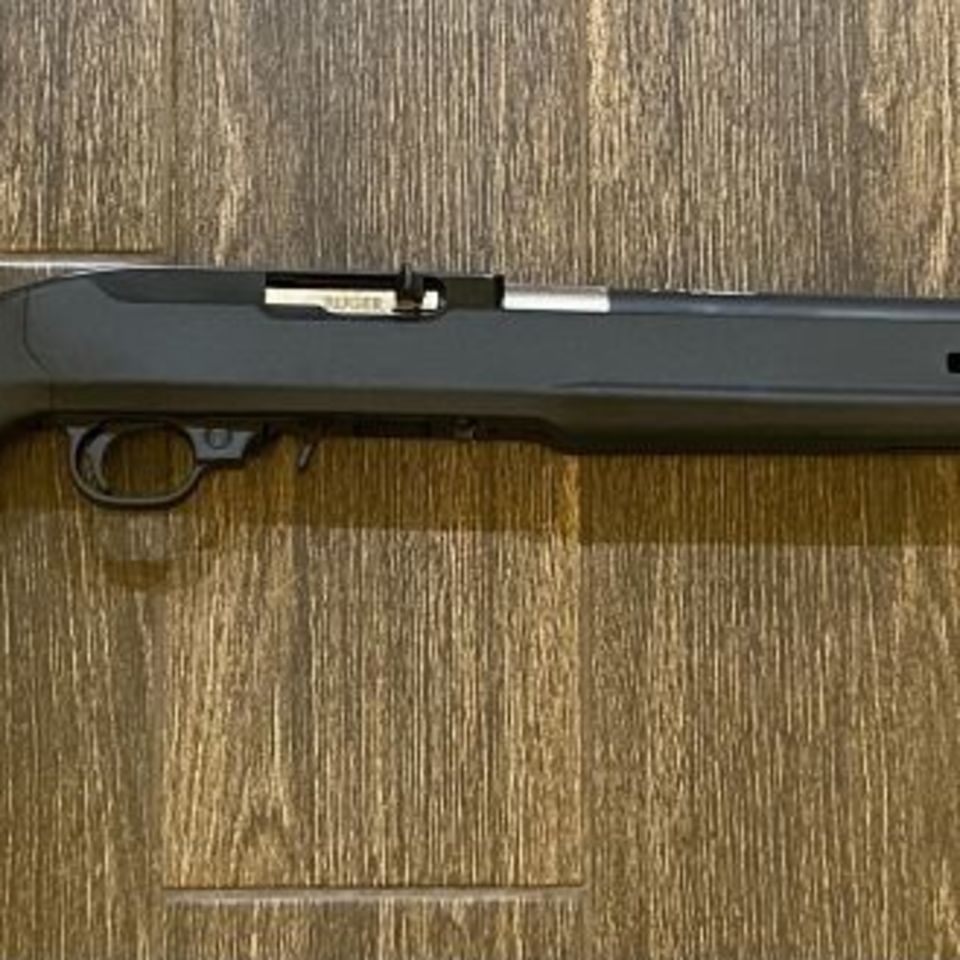 Image 3 - Suppressed Ruger 10/22
