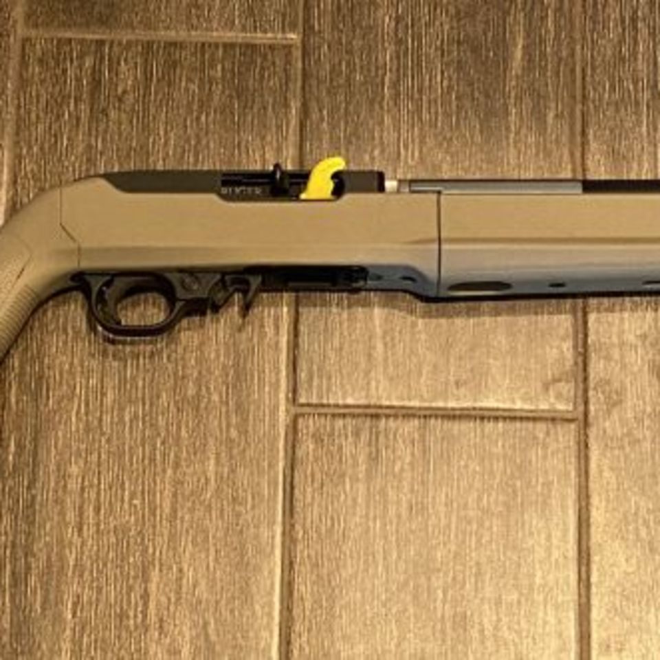 Image 1 - Suppressed Ruger 10/22