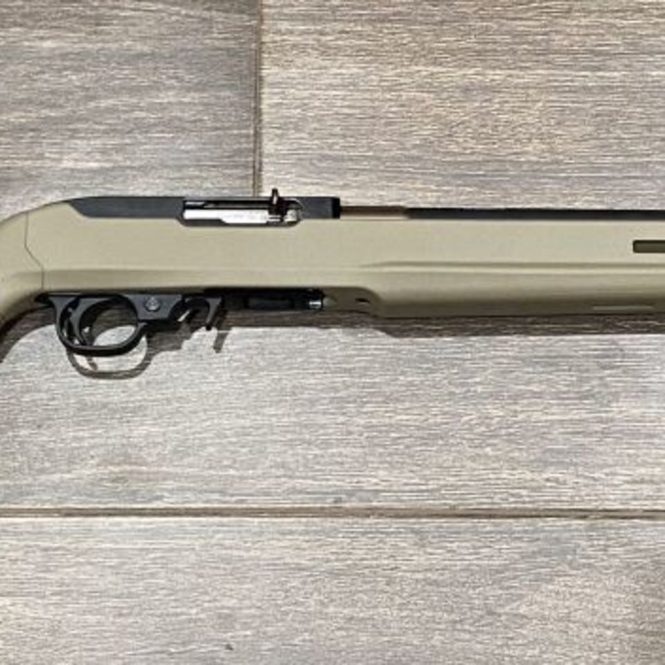 Image 2 - Suppressed Ruger 10/22