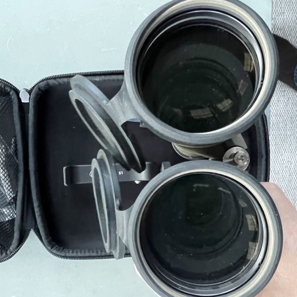 Image 2 - Sig Zulu 10 15x56 Binos