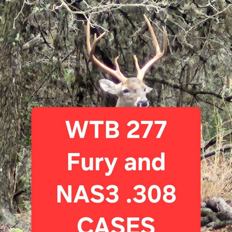 Image 1 - WTB SIG HYBRID AND NAS3 .308