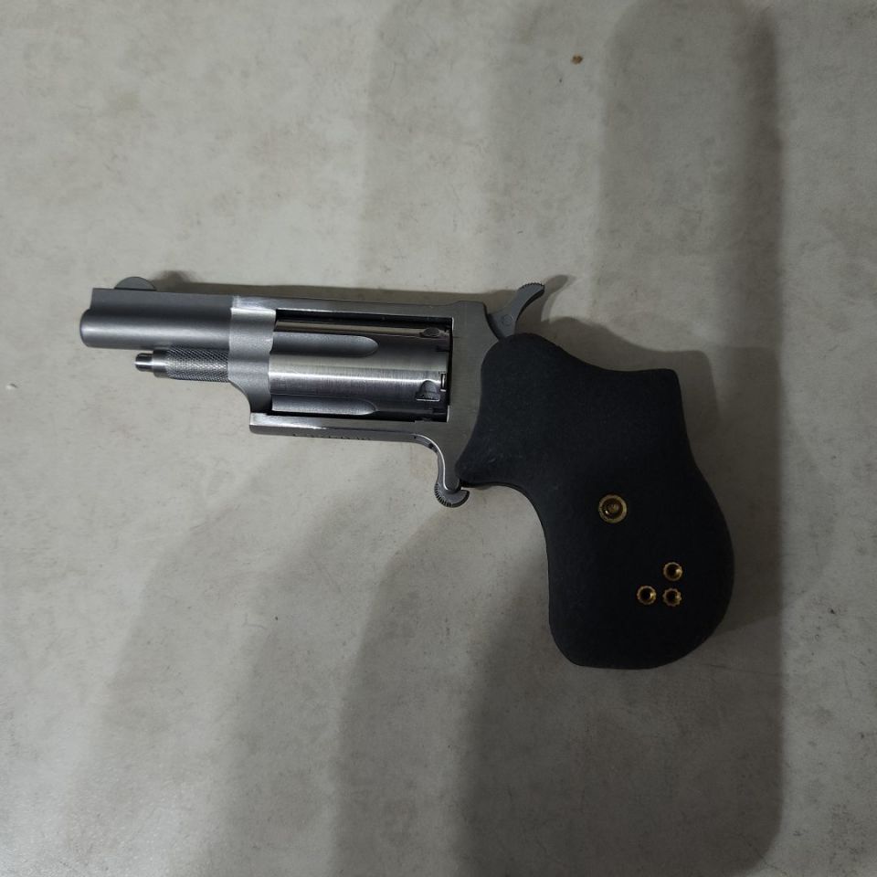 Image 1 - NAA 22 Magnum