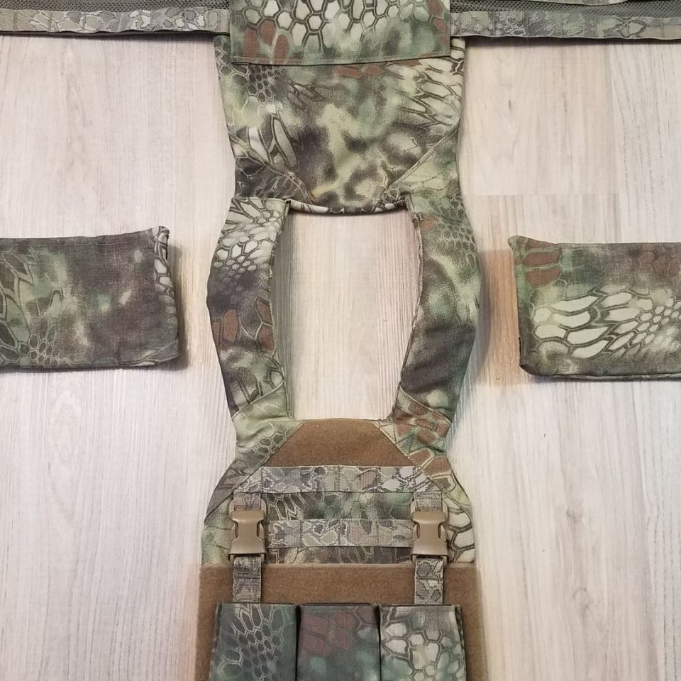 Image 4 - Esstac daeodon Prototype Kryptek 