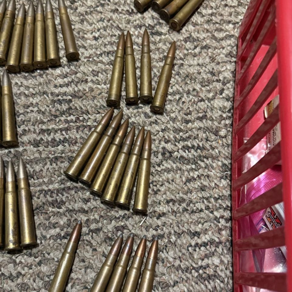 Image 3 - .303 British Ammo 120rds 