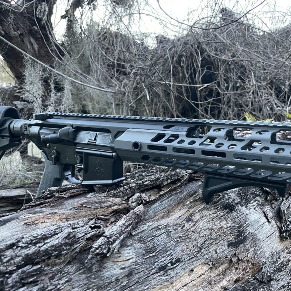 Image 2 - SIG 300 Blackout Virtus APE 