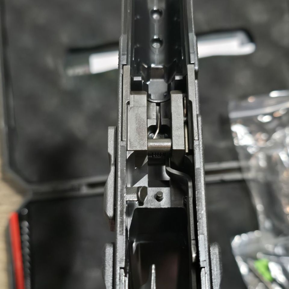 Image 3 - CZ P-09c Nocturne frame