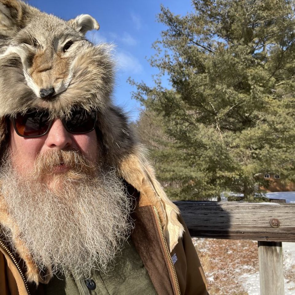 Image 2 - It’s been a while…