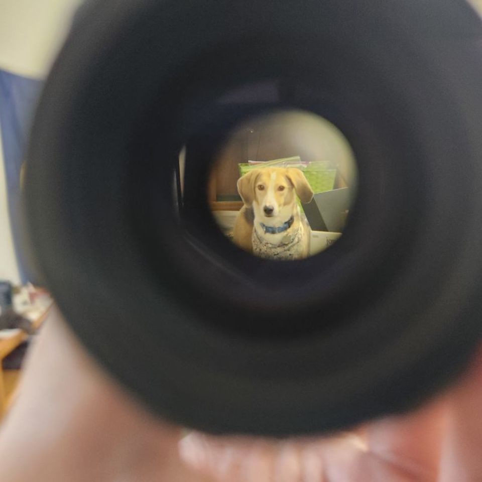 Image 4 - Aimpoint 6x Magnifier Scalar