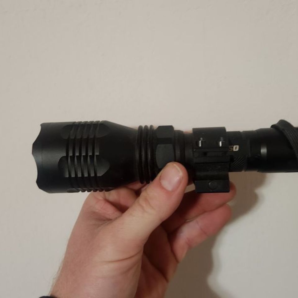 Image 2 - Elusive wildlife kill Light's 