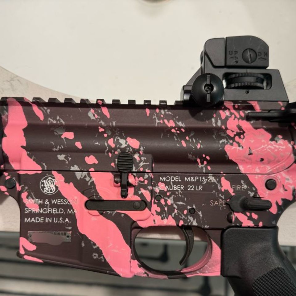 Image 2 - S&W mp15-22