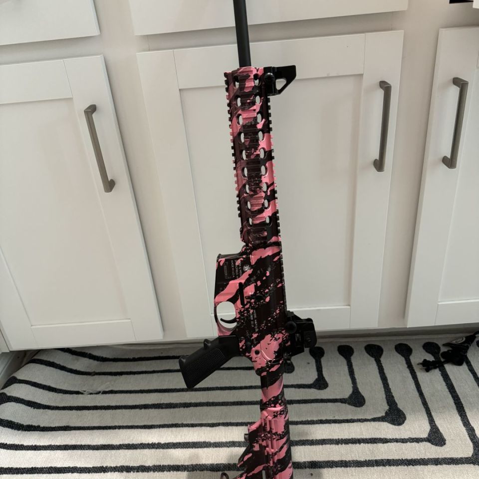 Image 1 - S&W mp15-22