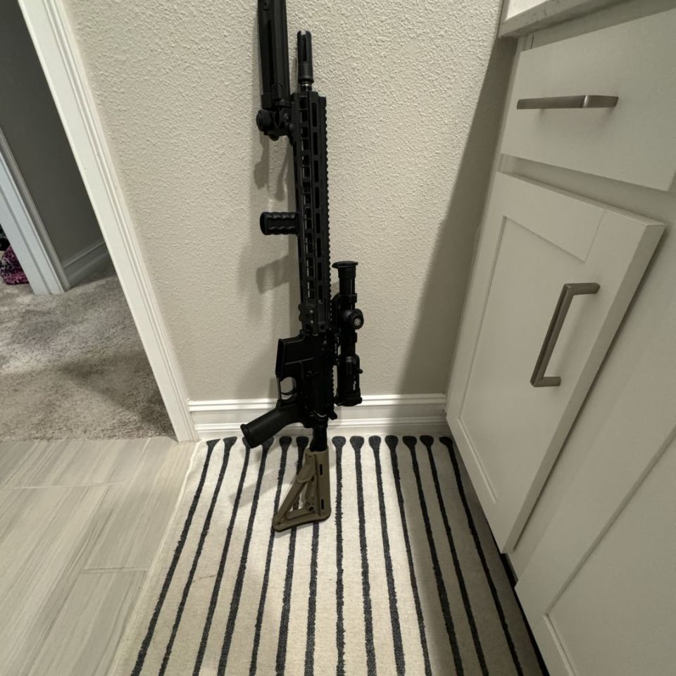 Image 1 - WTS AR build