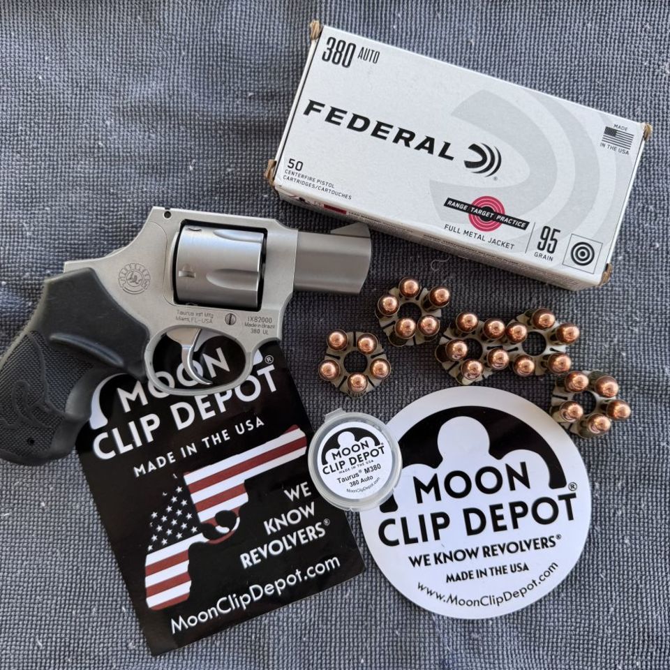 Image 1 - Taurus M380 FS/FT