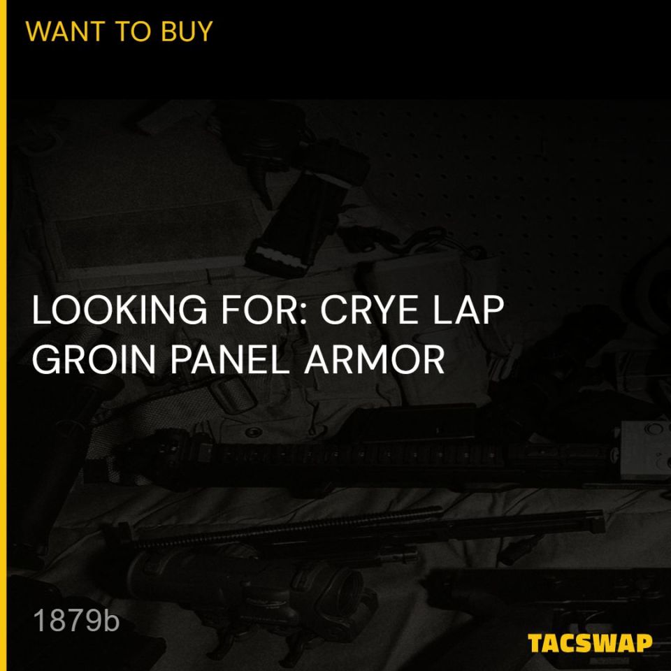 Image 1 - WTB: CRYE LAP PANEL ARMOR