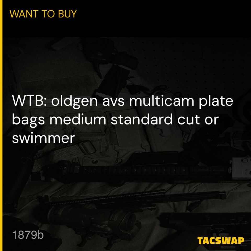 Image 1 - WTB: Crye avs plate bags mc/md