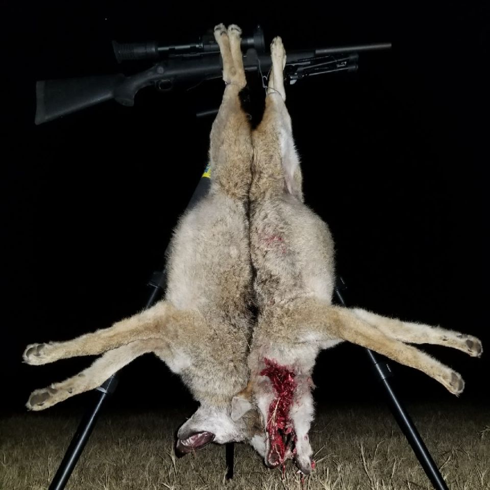 Image 2 - Sightmark Photon