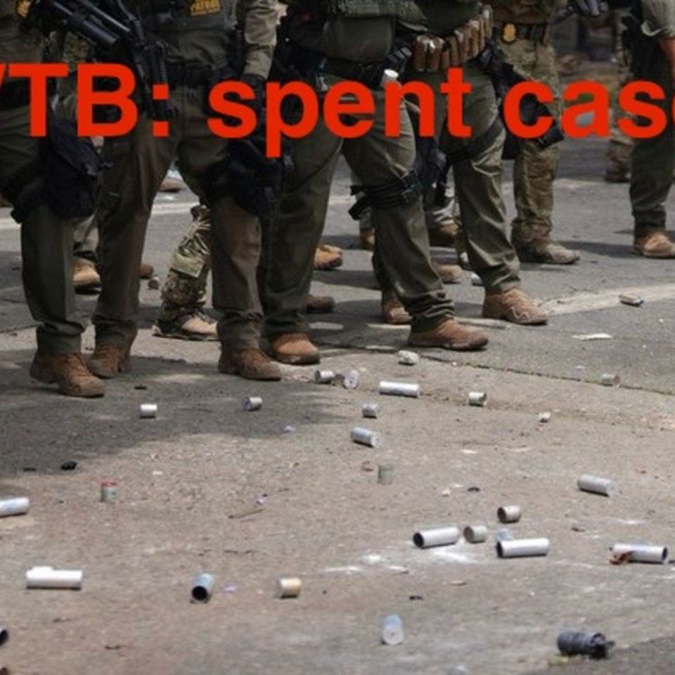 Image 1 - WTB: spent riot cases/canister