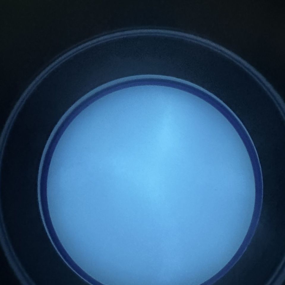 Image 4 - Testing the waters 