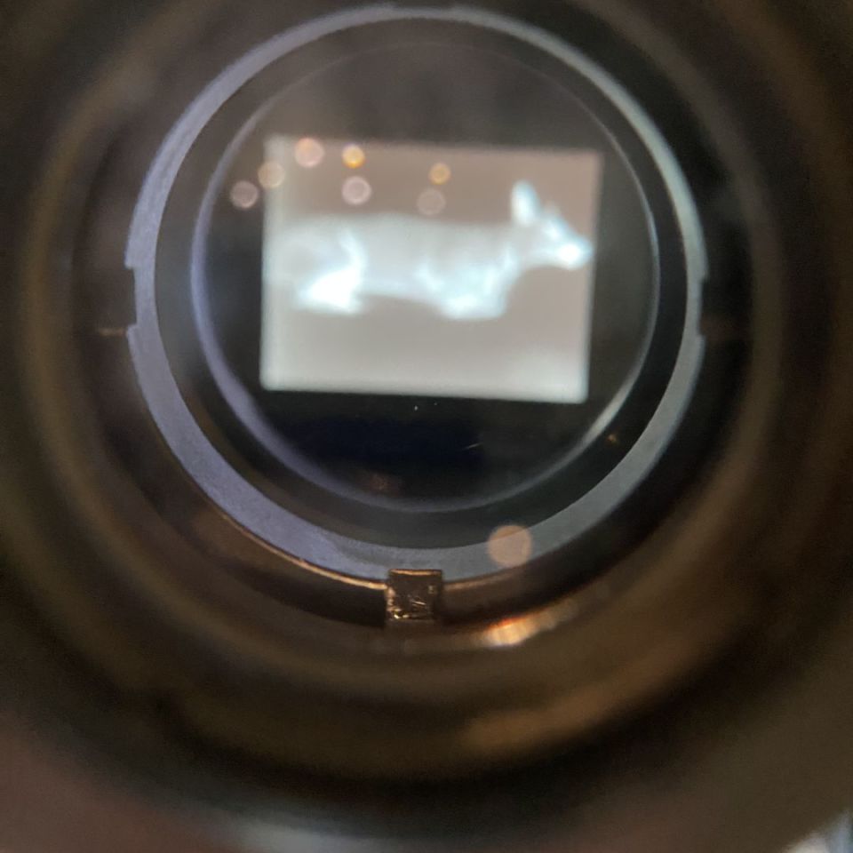 Image 3 - Insight CQBS thermal scope