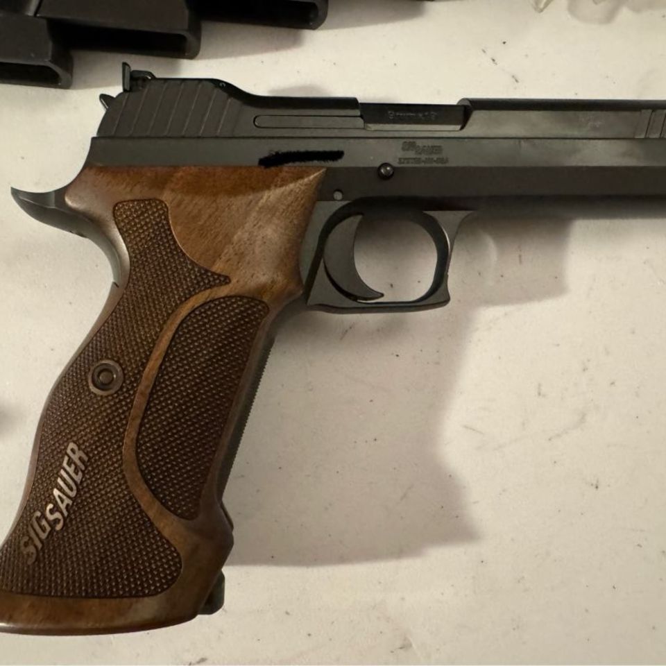 Image 3 - Sig P210 Target