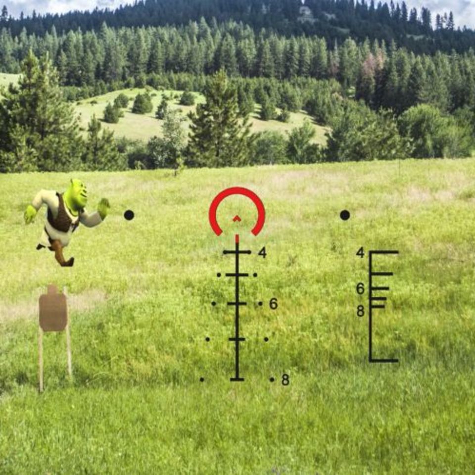 Image 5 - Trijicon Acog TA31 ACSS Green