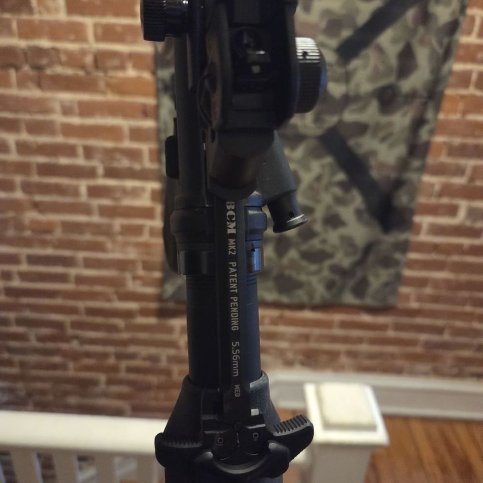 Image 2 - Psa "retro-ish" AR