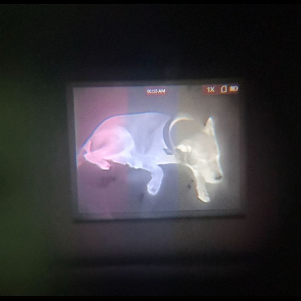 Image 5 - AGM Taipan TM10-256 Therma