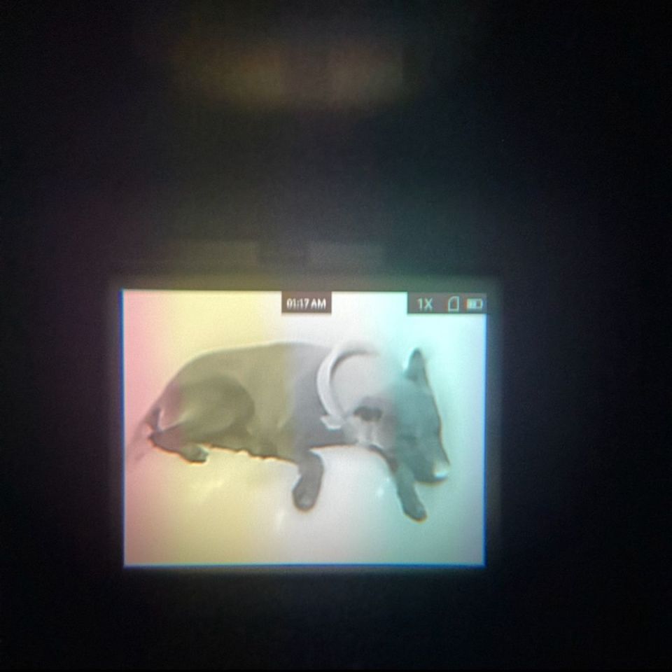 Image 4 - AGM Taipan TM10-256 Therma