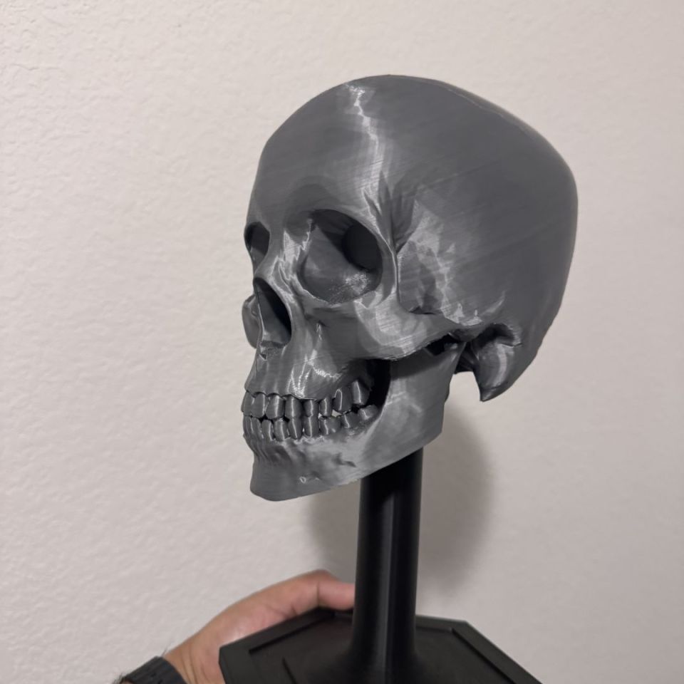 Image 3 - 3D PRUNTED SKULL HELMET STAND 